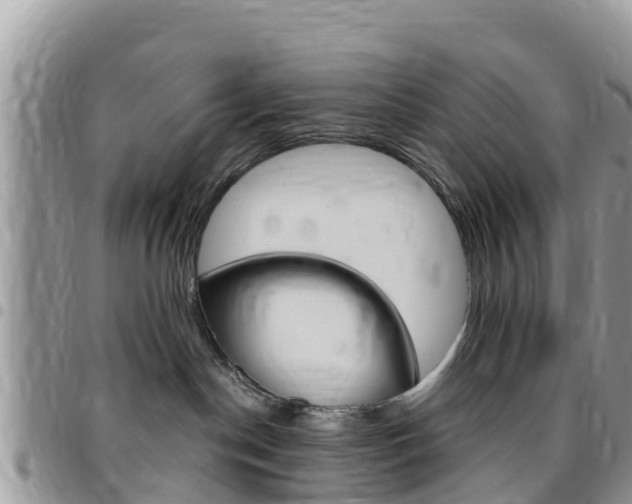 X0000096160190200801180859