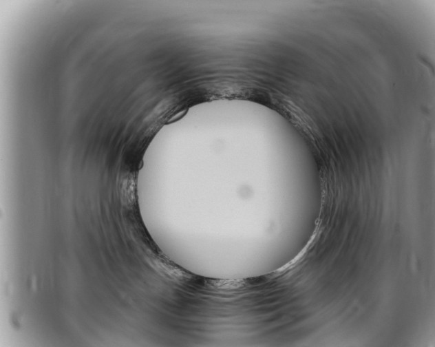 X0000096160191200801180859