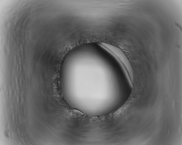X0000096160192200801180859