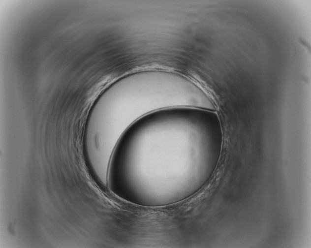 X0000096160193200801180859