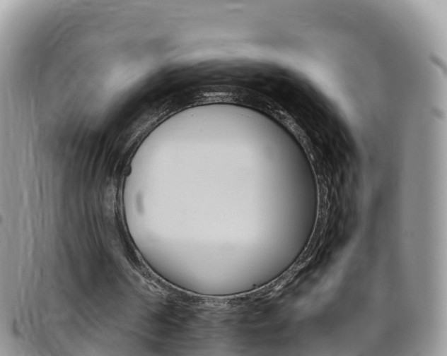 X0000096160194200801180859