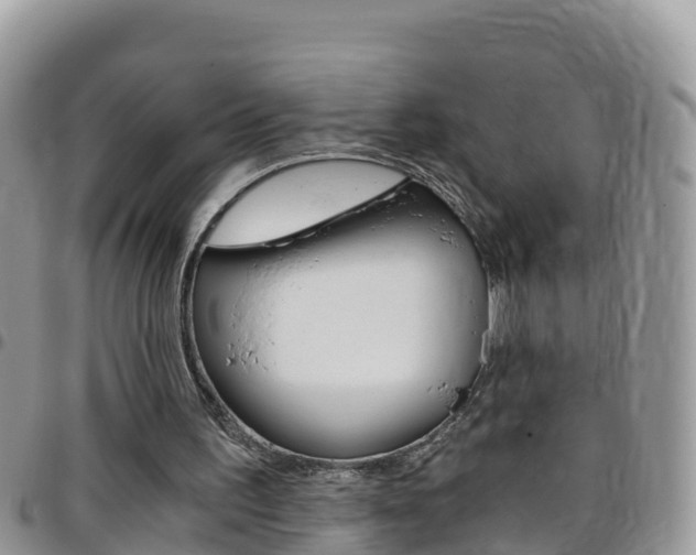 X0000096160195200801180859