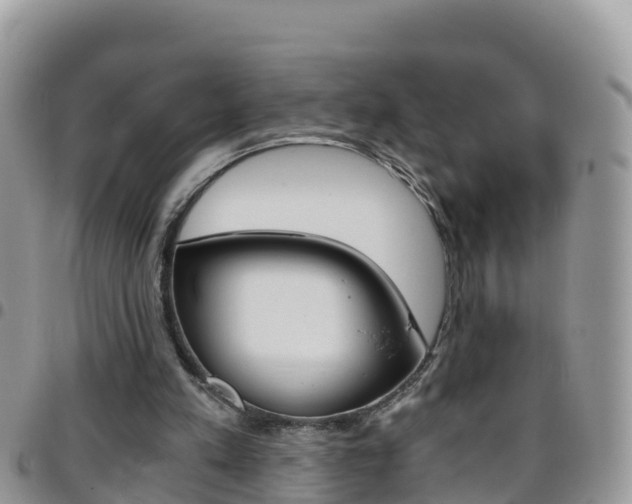 X0000096160197200801180858