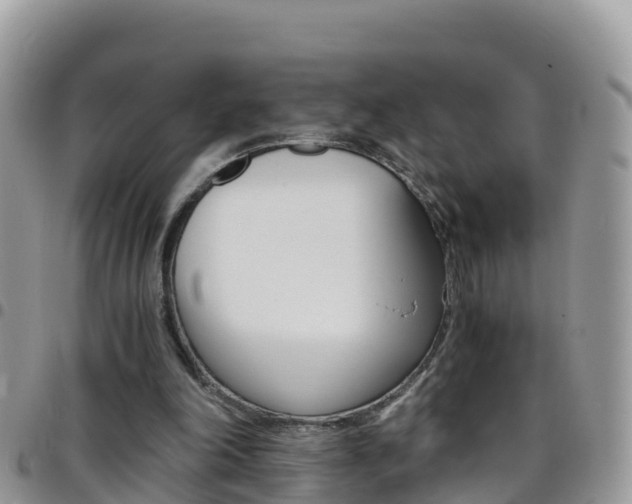 X0000096160198200801180858