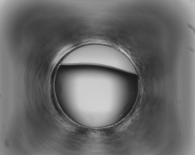 X0000096160199200801180858