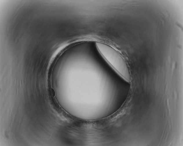X0000096160200200801180858