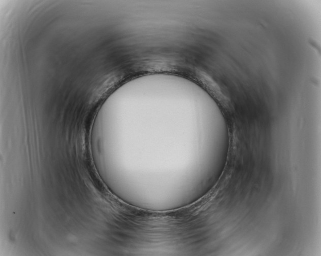 X0000096160202200801180858