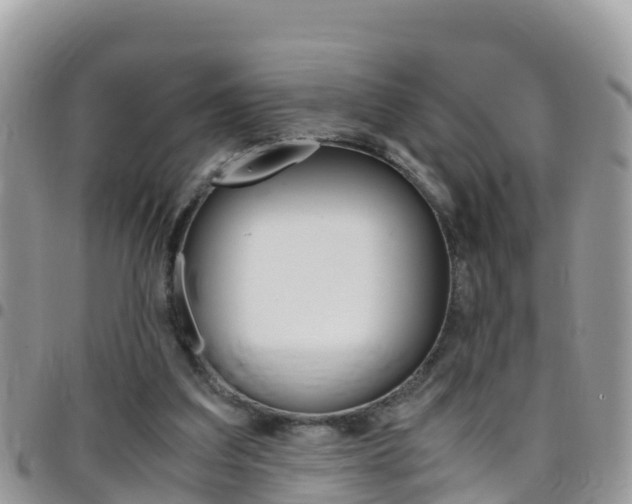 X0000096160203200801180858