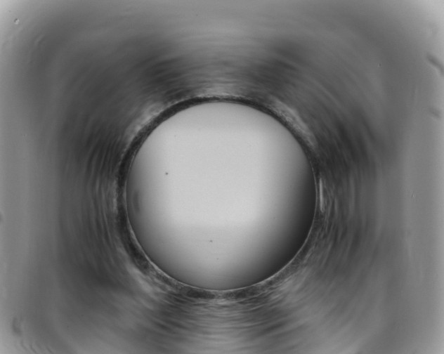 X0000096160204200801180858