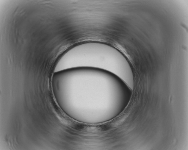 X0000096160205200801180858