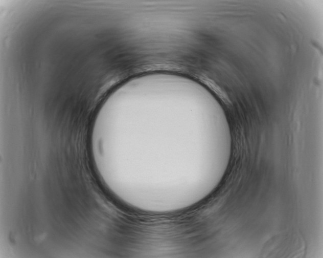 X0000096160207200801180858