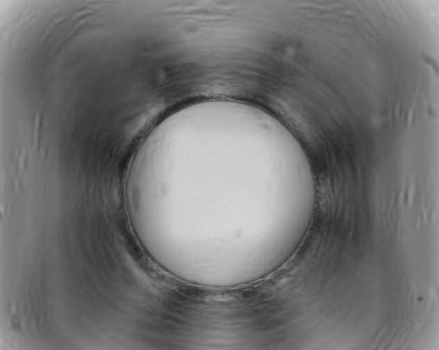 X0000096160208200801180858
