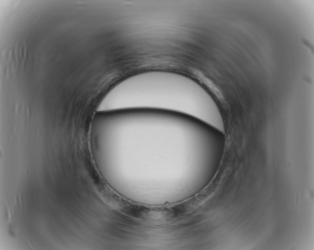 X0000096160209200801180858
