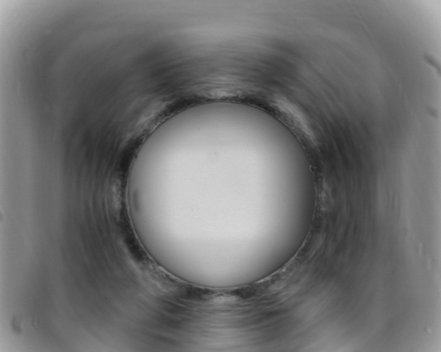 X0000096160210200801180858