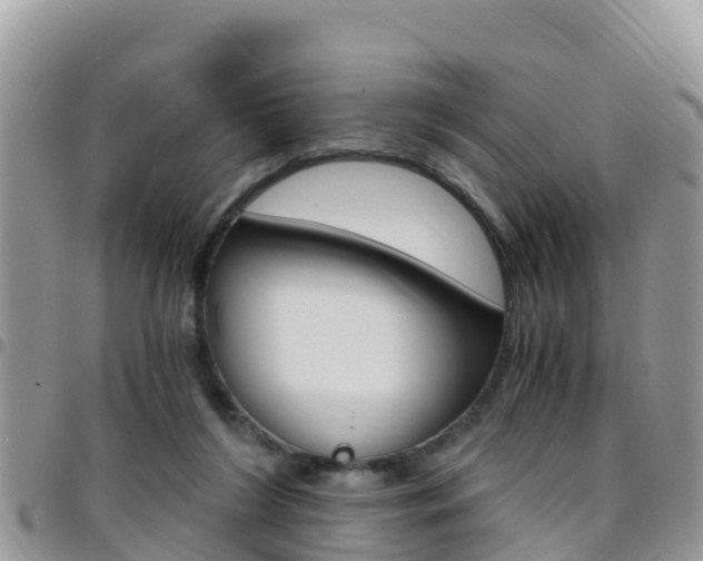 X0000096160212200801180858