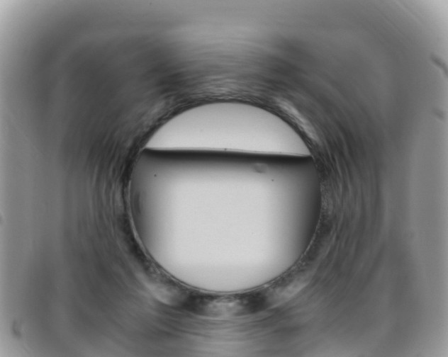 X0000096160213200801180858