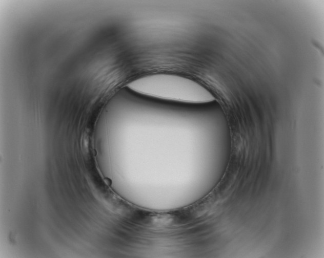X0000096160214200801180858
