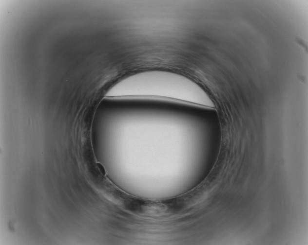 X0000096160215200801180858