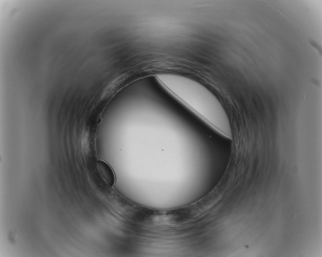 X0000096160216200801180858