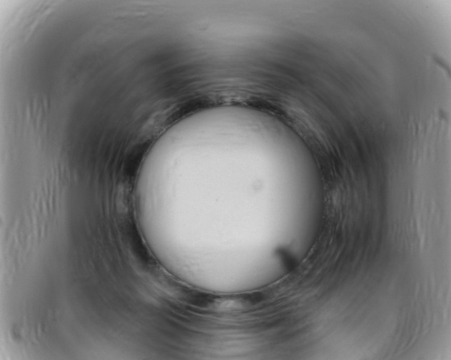 X0000096160218200801180858