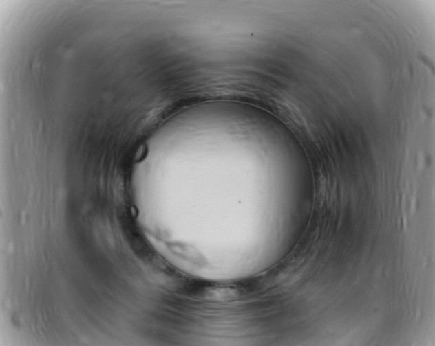 X0000096160220200801180858