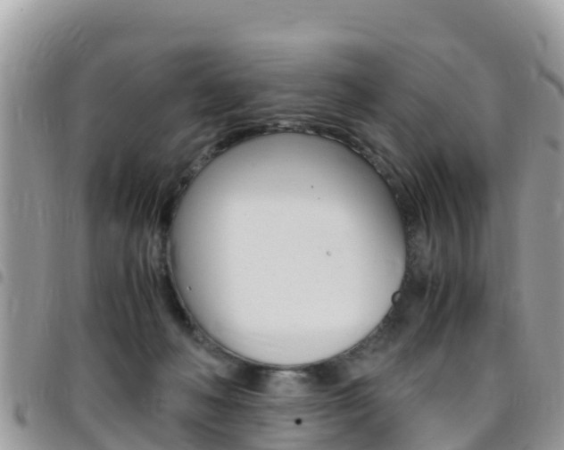 X0000096160222200801180858