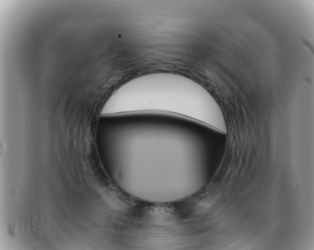 X0000096160223200801180858