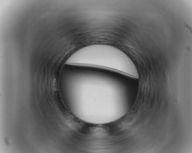 X0000096160224200801180858