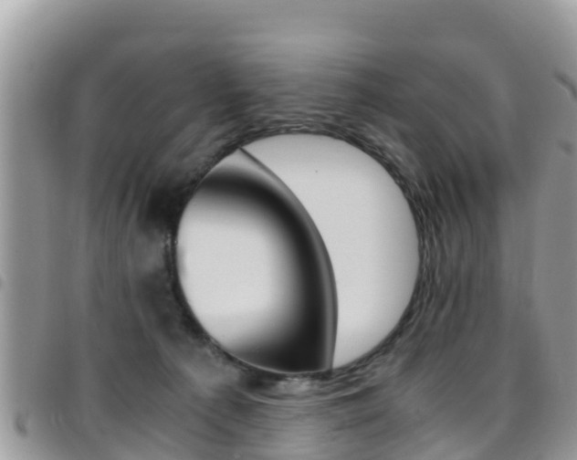 X0000096160225200801180858