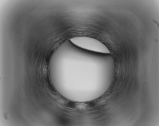 X0000096160226200801180858