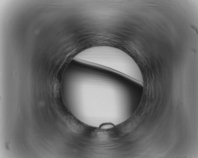 X0000096160228200801180858