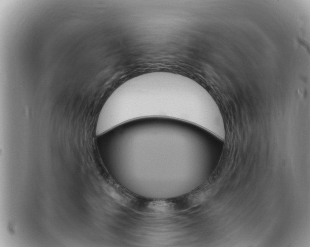 X0000096160231200801180858