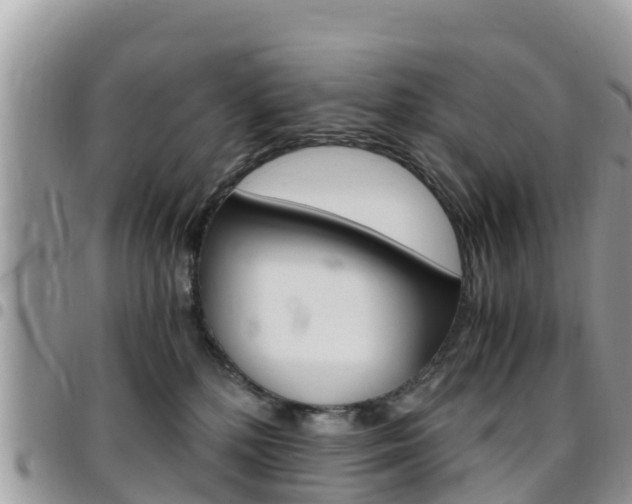 X0000096160232200801180858