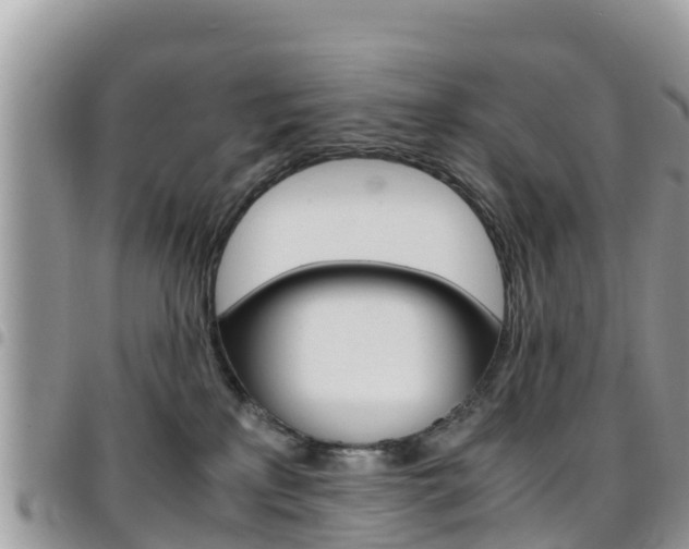 X0000096160233200801180858