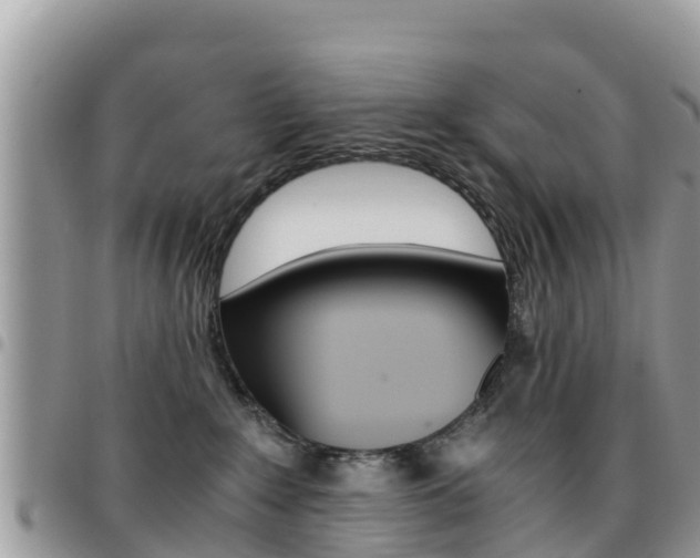 X0000096160235200801180858