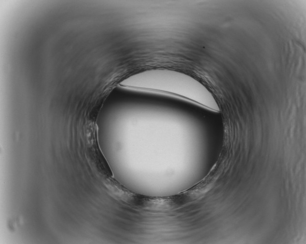 X0000096160237200801180858