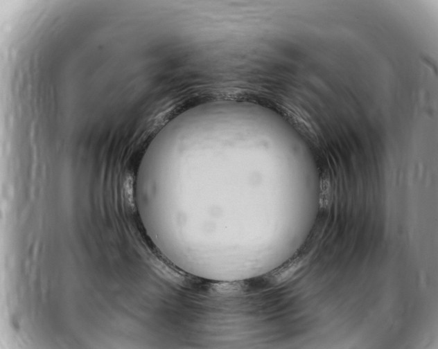 X0000096160238200801180858