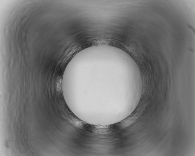 X0000096160240200801180858
