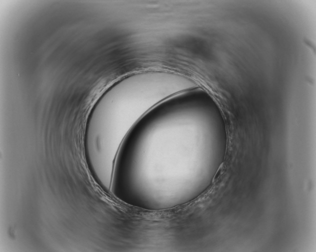X0000096160241200801180857