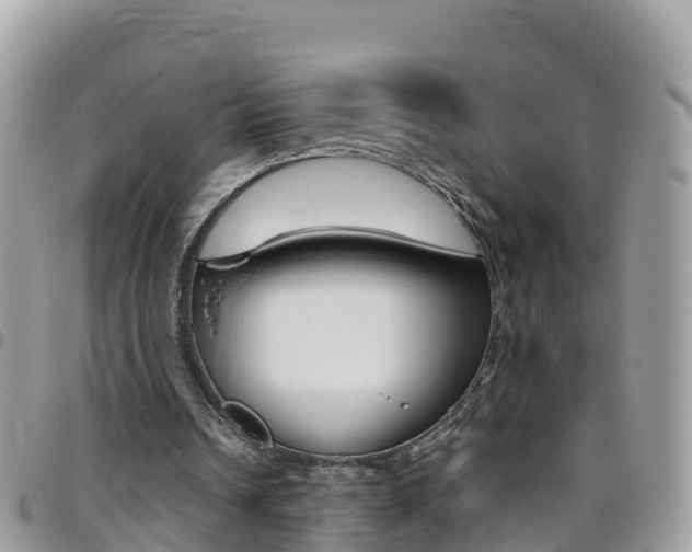 X0000096160242200801180857