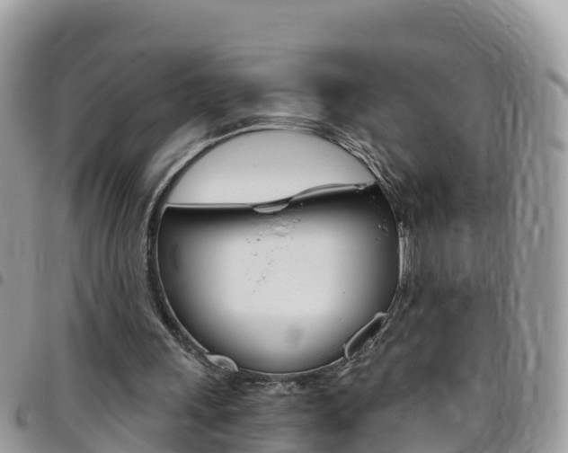 X0000096160243200801180857
