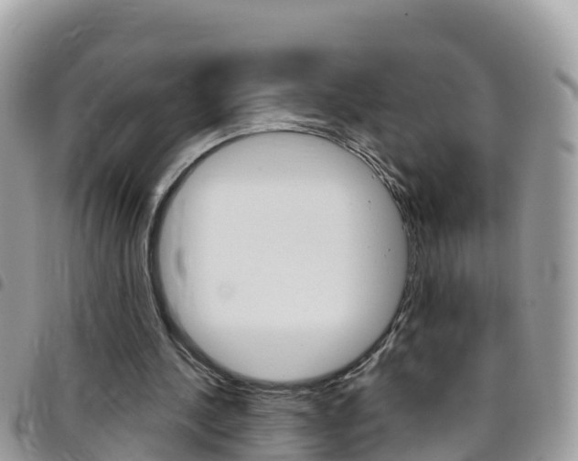 X0000096160244200801180857