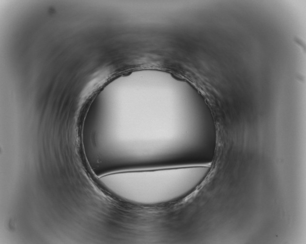 X0000096160245200801180857