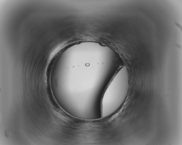 X0000096160246200801180857