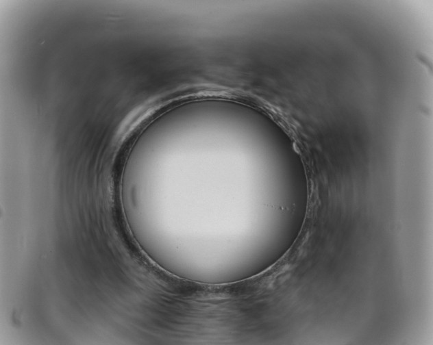 X0000096160247200801180857