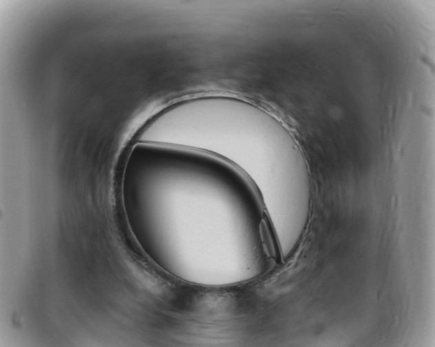 X0000096160248200801180857