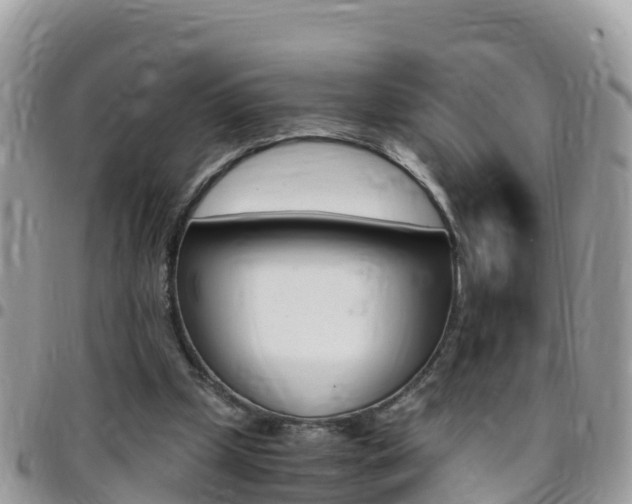 X0000096160249200801180857