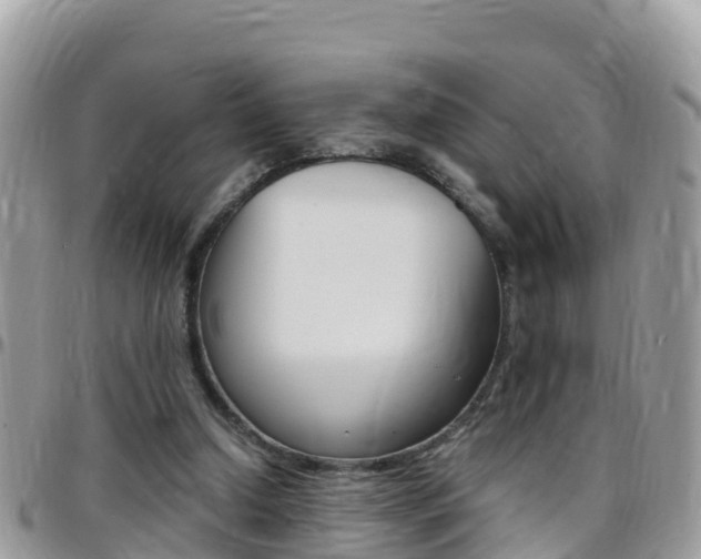 X0000096160250200801180857