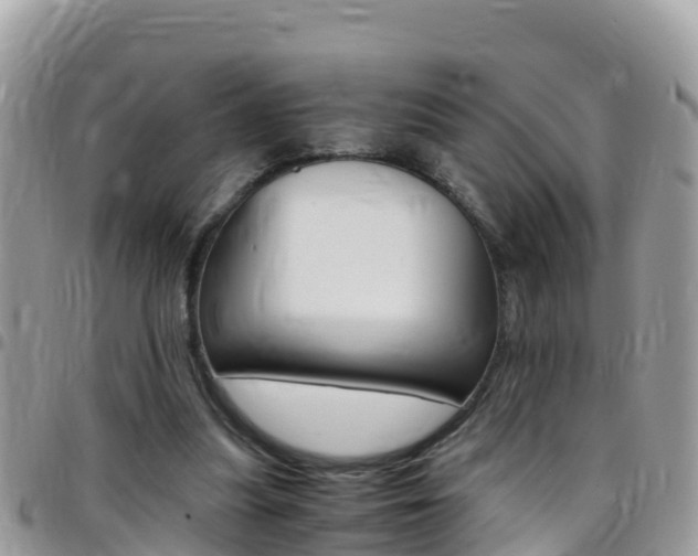 X0000096160251200801180857
