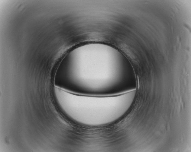 X0000096160252200801180857